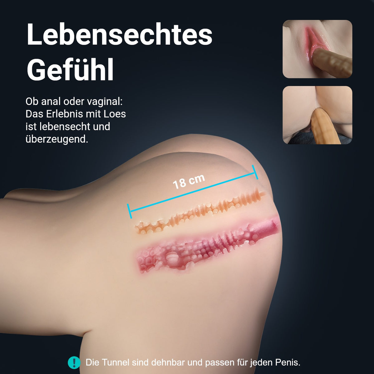Infografik Loes: lebensechtes Gefühl, dehnbarer Vaginal- und Analkanal mit 18 cm Länge